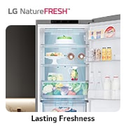 LG Réfrigérateur LG, congélateur en bas, capacité 344 litres, lasting freshness , GW-B459FS6W, thumbnail 11